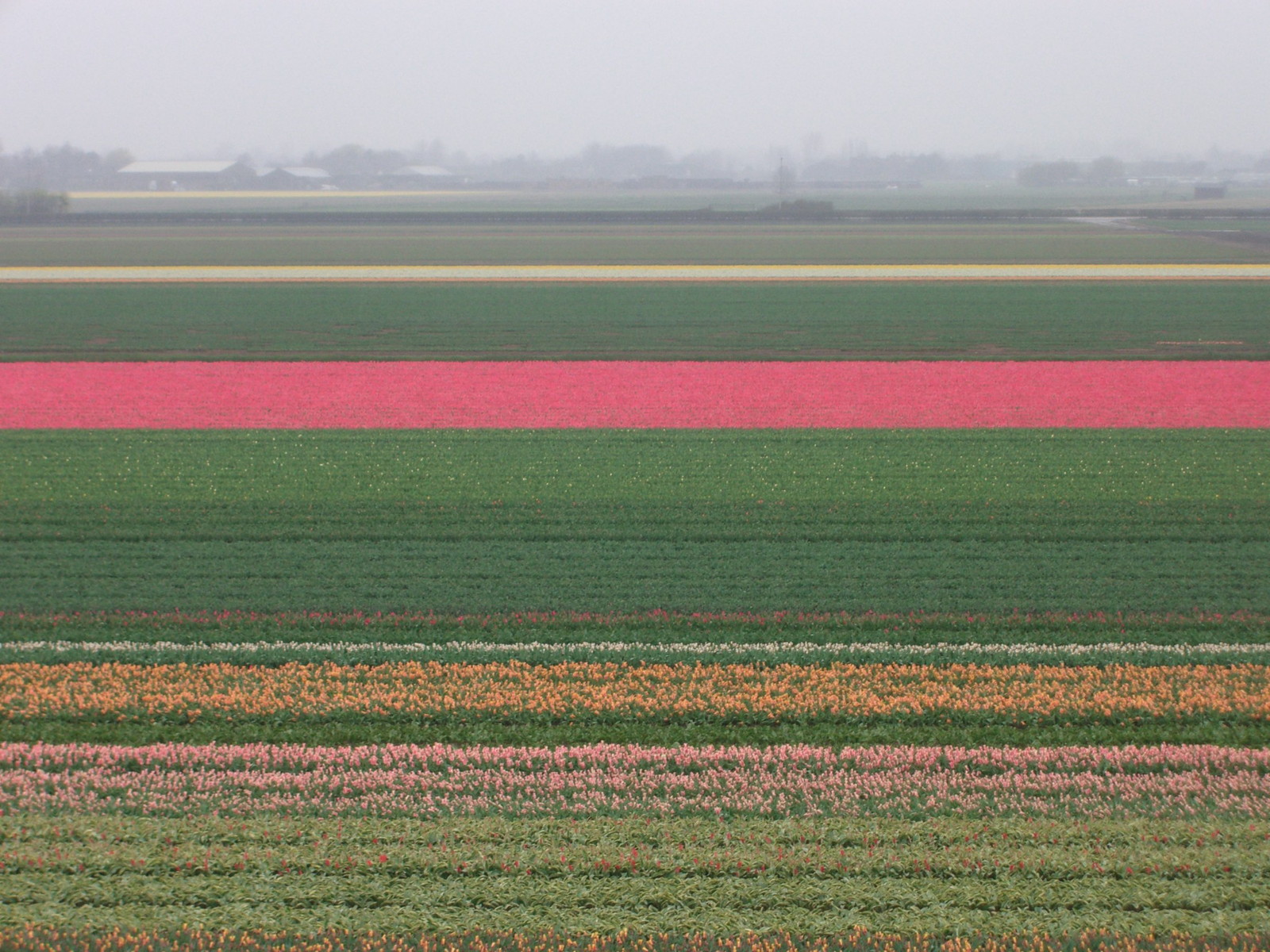 Netherlands Keukenhof